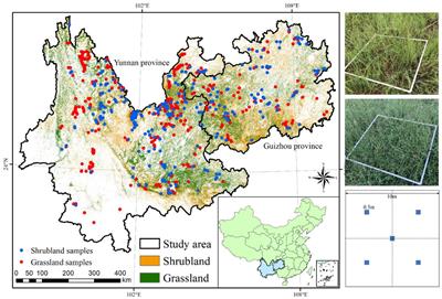 Machine learning-based grassland aboveground biomass estimation and its response to climate variation in Southwest China
